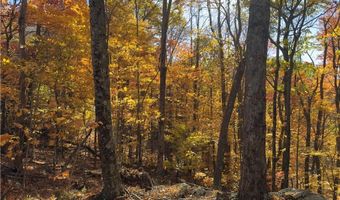 Tbd Larkspur Trail, Banner Elk, NC 28604