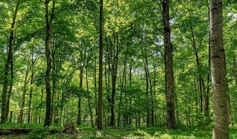 2926 Bryant Ridge Rd, Baxter, TN 38544