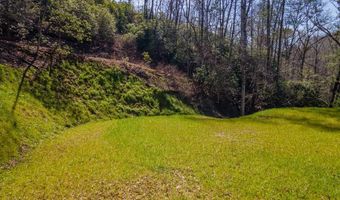 6251 Grassy Br, Bryson City, NC 28713