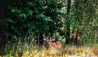 20 Prairie Grass B, Bozeman, MT 59718
