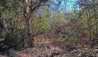 1163 Juneberry Rd, Camden, SC 29020