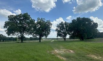 216 County Road 201, Ariton, AL 36010