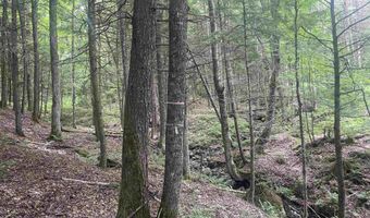 101 Jug Brook Rd, Cabot, VT 05647