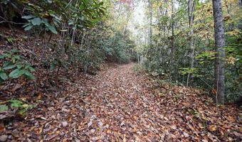 Tbd McLean Road, Andrews, NC 28901
