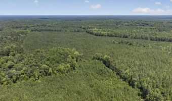 82 Acres Point Caswell Rd, Atkinson, NC 28421