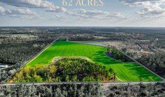 Beaufort Rd. & Warnock Rd, Alma, GA 31510