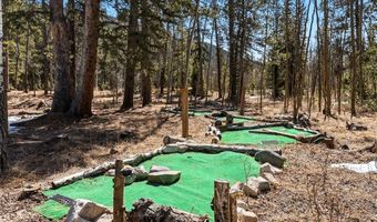 1227 Edgewood Rd, Alma, CO 80420