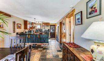 29 S Oak St, Alma, CO 80420