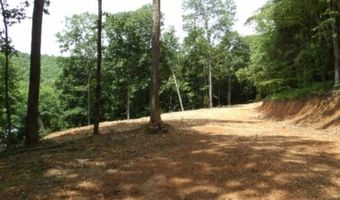 8 63ac Gravely Hill Rd, Bethpage, TN 37022