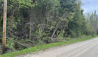 W M-68, Alanson, MI 49706