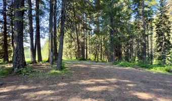1321 W Mountain Rd, Cascade, ID 83611