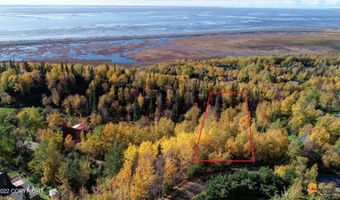 L10 Feodosia Drive, Anchorage, AK 99516