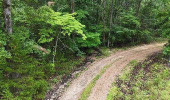 County Road Jj-416, Ava, MO 65608