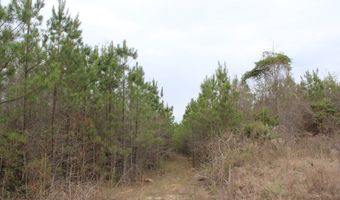 95 Herman Bell Rd, Mauk, GA 31058