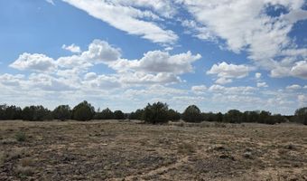 64 Antelope Run, Ash Fork, AZ 86320