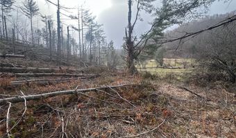 99999 White Pine Ln, Bakersville, NC 28705