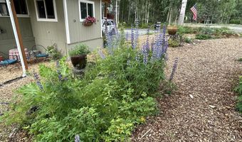 13839 W Lotus Dr, Big Lake, AK 99652