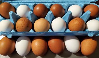 4775 S 50th Rd, Aldrich, MO 65601