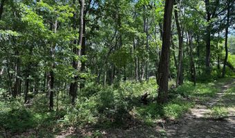 81 CABIN Rd, Augusta, WV 26704
