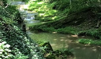 275 W Pines Rd, Afton, TN 37616