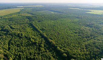 CARPENTER ROAD, Bastrop, LA 71220