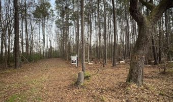 0 Ashe Brown Rd, Adams Run, SC 29426