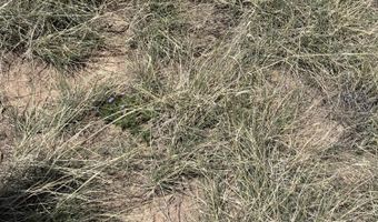 01 Wsmr P Route 7, Carrizozo, NM 88301
