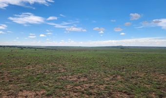 67 66 59 ACR N3377, Concho, AZ 85924