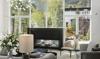 219 N Monarch St, Aspen, CO 81611