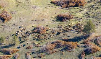 91355 HWY 293, Antelope, OR 97001