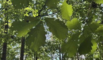COLVIN SPRINGS ROAD 6, Ashville, AL 35953