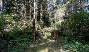 95629 CAPE FERRELO Rd, Brookings, OR 97415