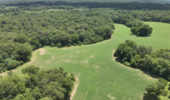 Hwy 1591, Bardwell, KY 42023
