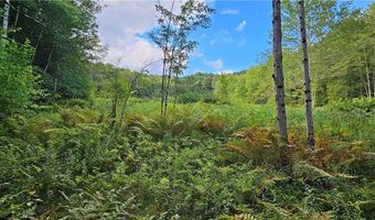 Shaver Hollow, Andes, NY 13731