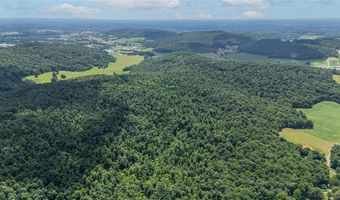 0 McKinley Guffey, Albany, KY 42602