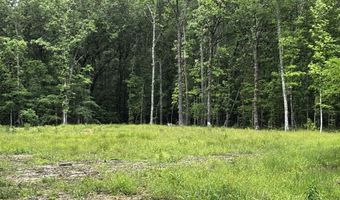 00 Gold Hill Rd, Atkins, AR 72823