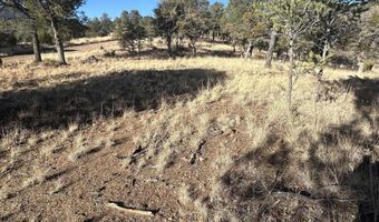 Simmens Ranch Road, Arenas Valley, NM 88061