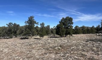 362 Big View Trl, Ash Fork, AZ 86320