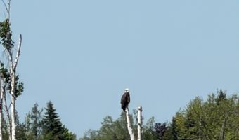 1205 Partridge Point Rd, Alpena, MI 49707