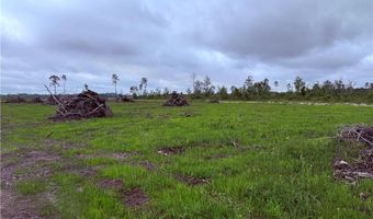 9 219 Ac Rhine Alma GA Rd, Alma, GA 31510