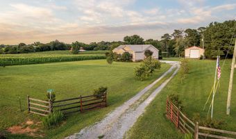 264 Ford Ave, Albertville, AL 35951