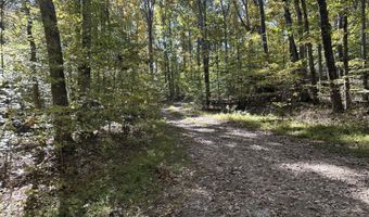 Lot 1215 Iron Gate Drive, Baneberry, TN 37890