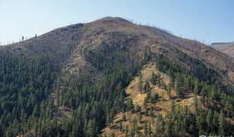 0 Pine Acres Way, Bellvue, CO 80512