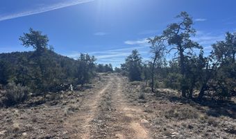 362 Big View Trl, Ash Fork, AZ 86320