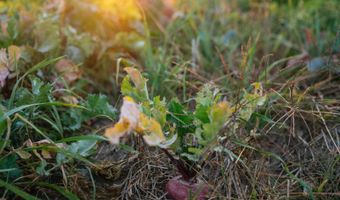 0000 450th Rd, Bassett, NE 68714