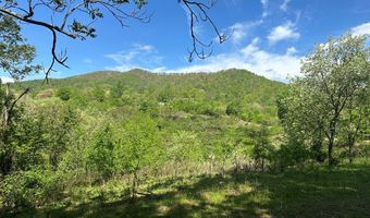 12 Acs Gidsville Rd, Amherst, VA 24521