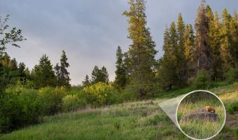 4387 E Granite Rdg N, Ashton, ID 83420