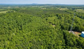 Lot 2 Tower Hill Rd, Appomattox, VA 24522