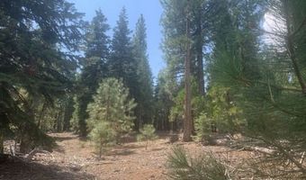 Fargo Rd, Alturas, CA 96101