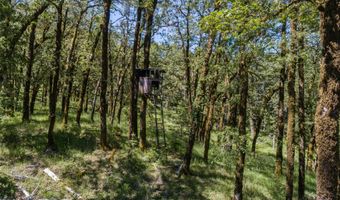 000 Bosley Butte Rd, Brookings, OR 97415